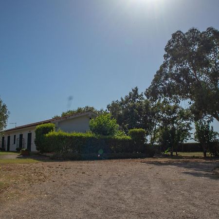 Agriturismo I Gelsi Marina Di Grosseto Luaran gambar