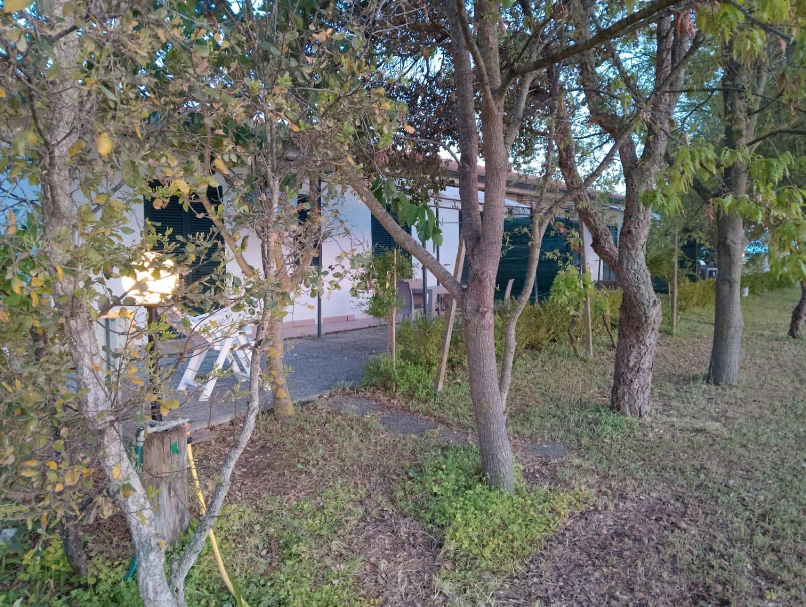 Agriturismo I Gelsi Marina Di Grosseto Luaran gambar