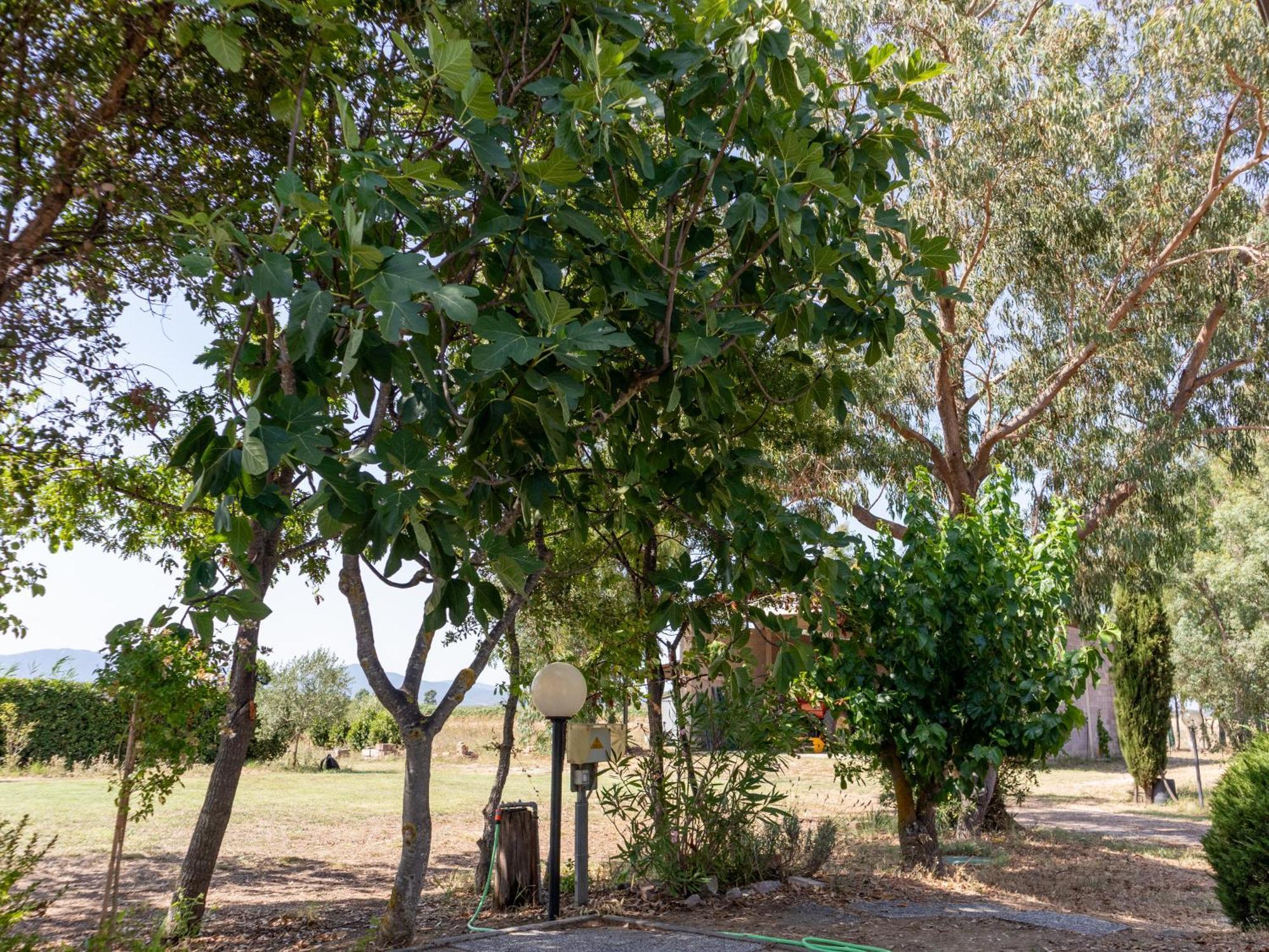 Agriturismo I Gelsi Marina Di Grosseto Luaran gambar